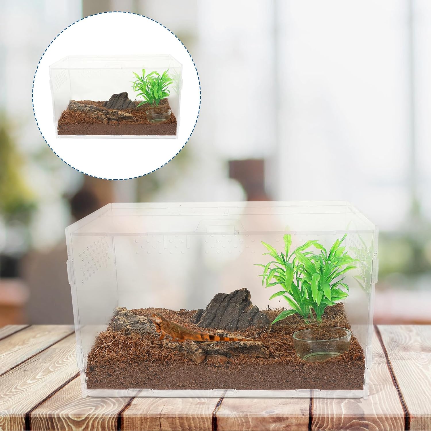 Reptile Terrarium Cage Small Vivarium Tank 25x15x15cm with 4pcs Accessory Set for Snake Turtle Hermit Crab Habitat
