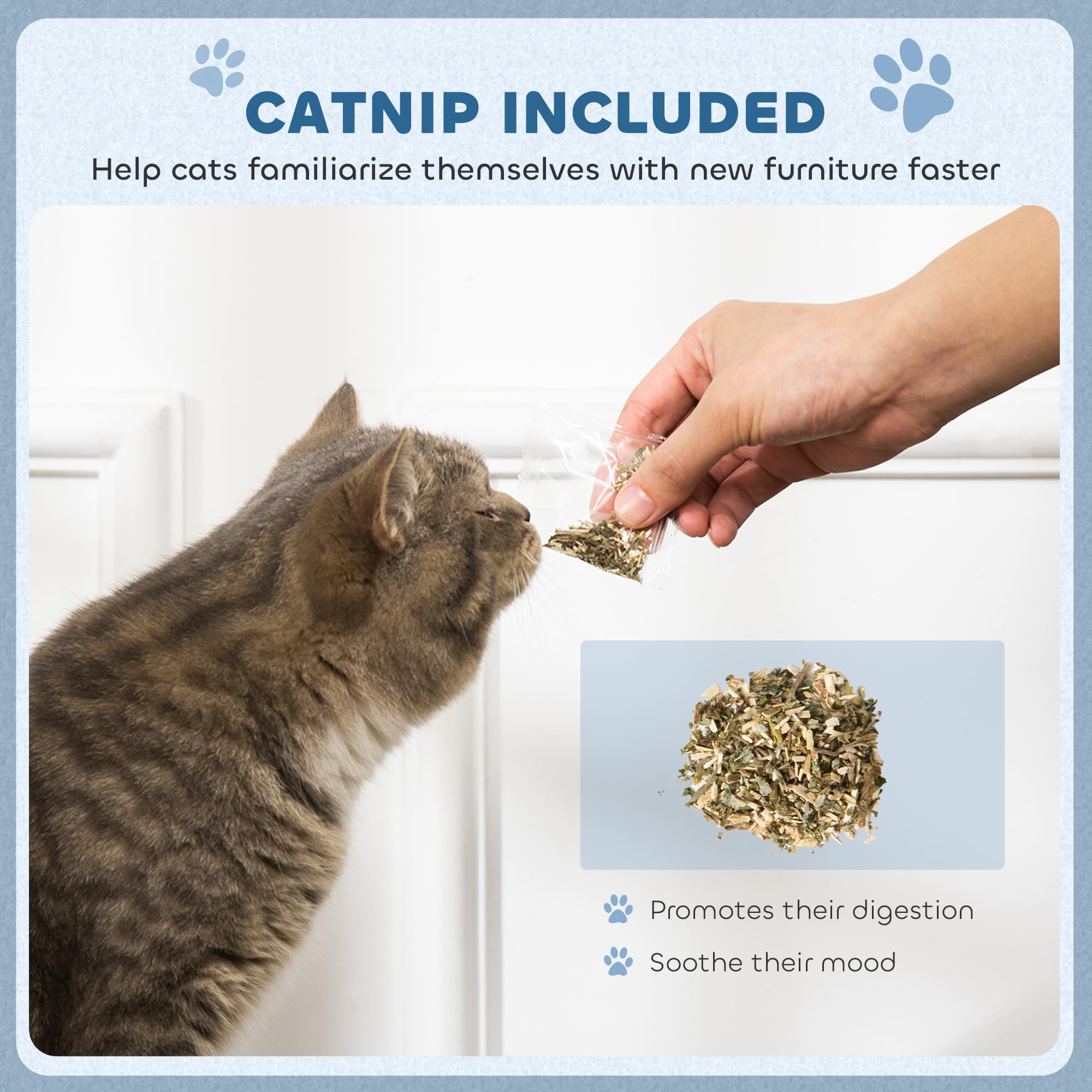 PawHut Tabla de rascar para Gatos 2 en 1 de cartón con Hierba gatera, Azul