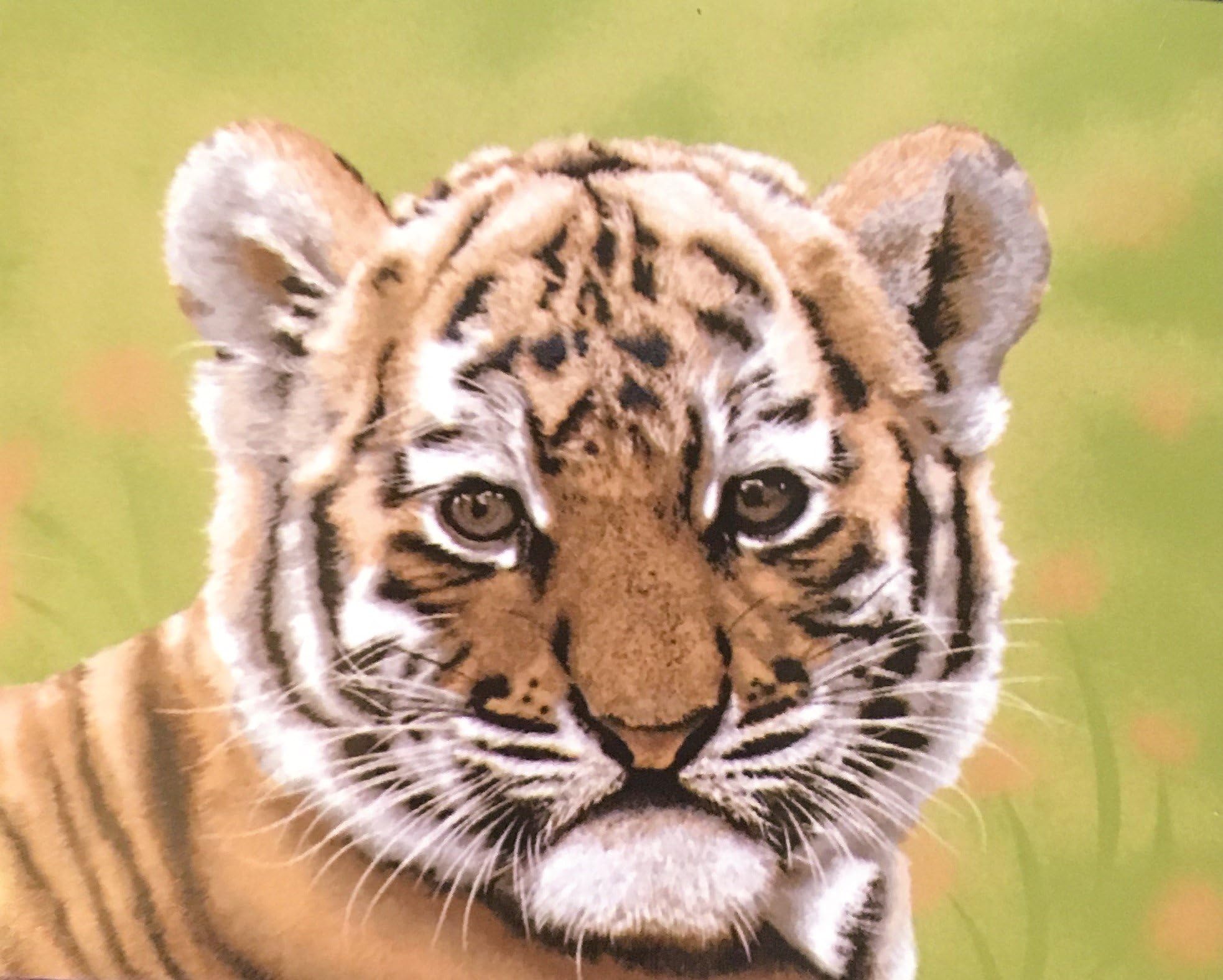 Hi Pile Super Plush Throw Blanket - Tiger