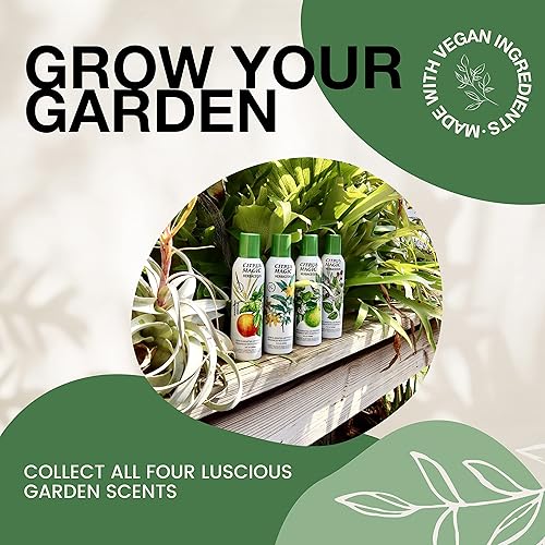 Miniatura 8 de Citrus Magic Ambientador en aerosol herbáceo que elimina olores, mandarin mimosa, 8 onzas, paquete de 2