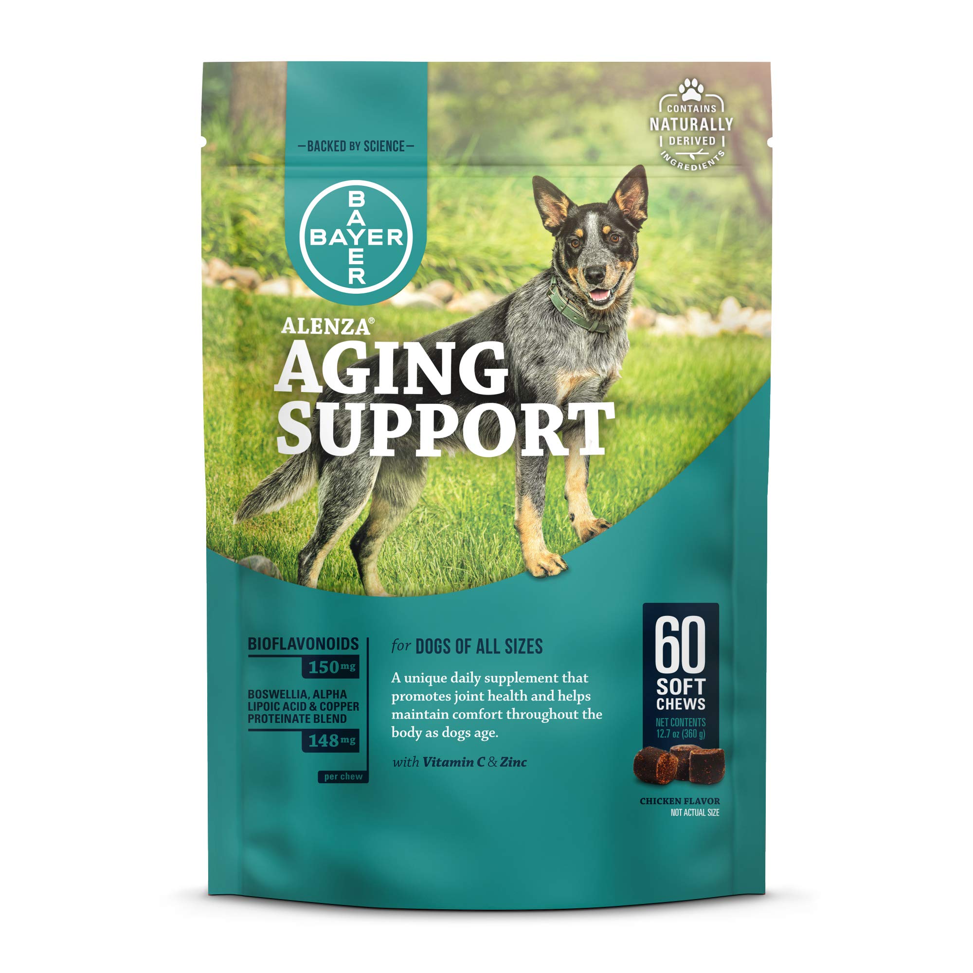 10 Best Dog Supplements And Vitamins 2023 Reviews & Ratings