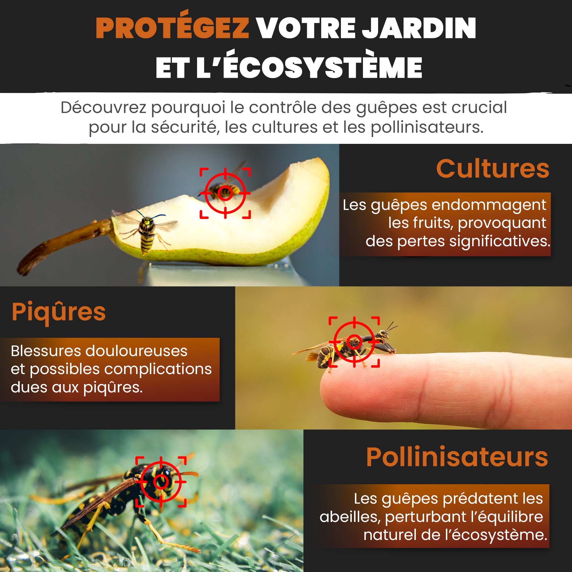 Mice&Co 2X Pièges à Guêpes Professionnels Grande Taille - Piège à Frelon Asiatique | Piège Anti Guêpe Attrape Frelons Asiatiques Vespa Velutina Écologique Extérieur