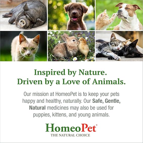 HomeoPet Feline UTI+ Safe and Natural Urinary Tract Supplement for Cats Feline Urinary Tract Support 15 Milliliters