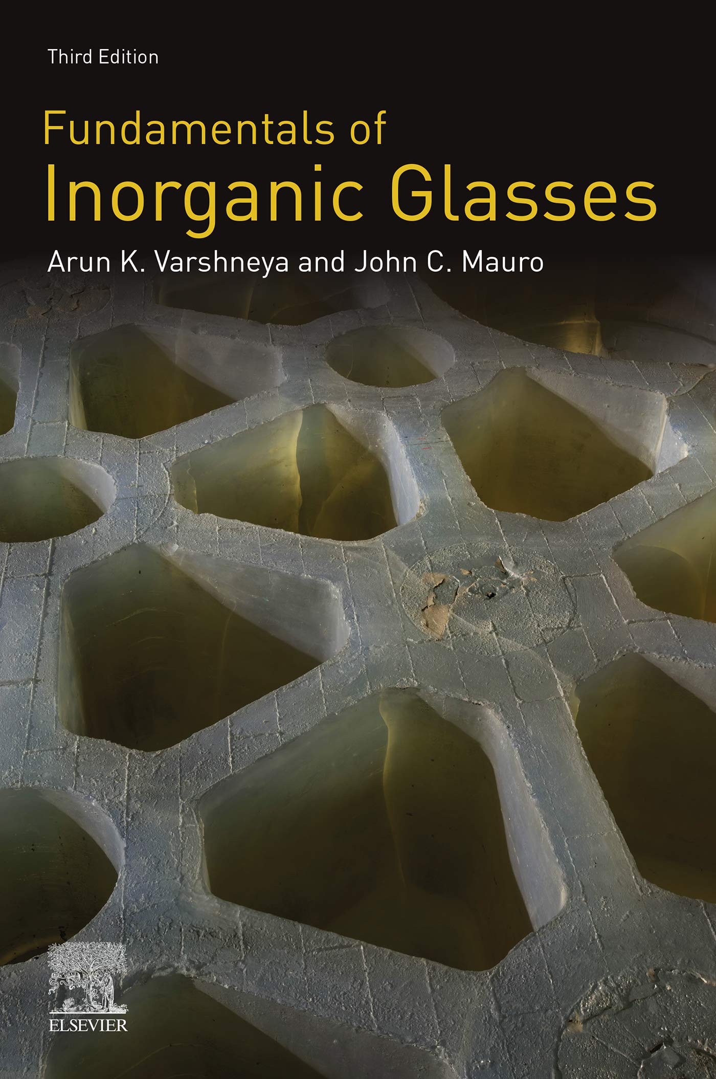 Fundamentals of Inorganic Glasses (English Edition)