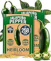 Vista 87 de HOME GROWN Semillas de eneldo sin OMG para plantar 1,014 ramos de semillas de eneldo y semillas de hierbas tradicionales para plantar al aire libre