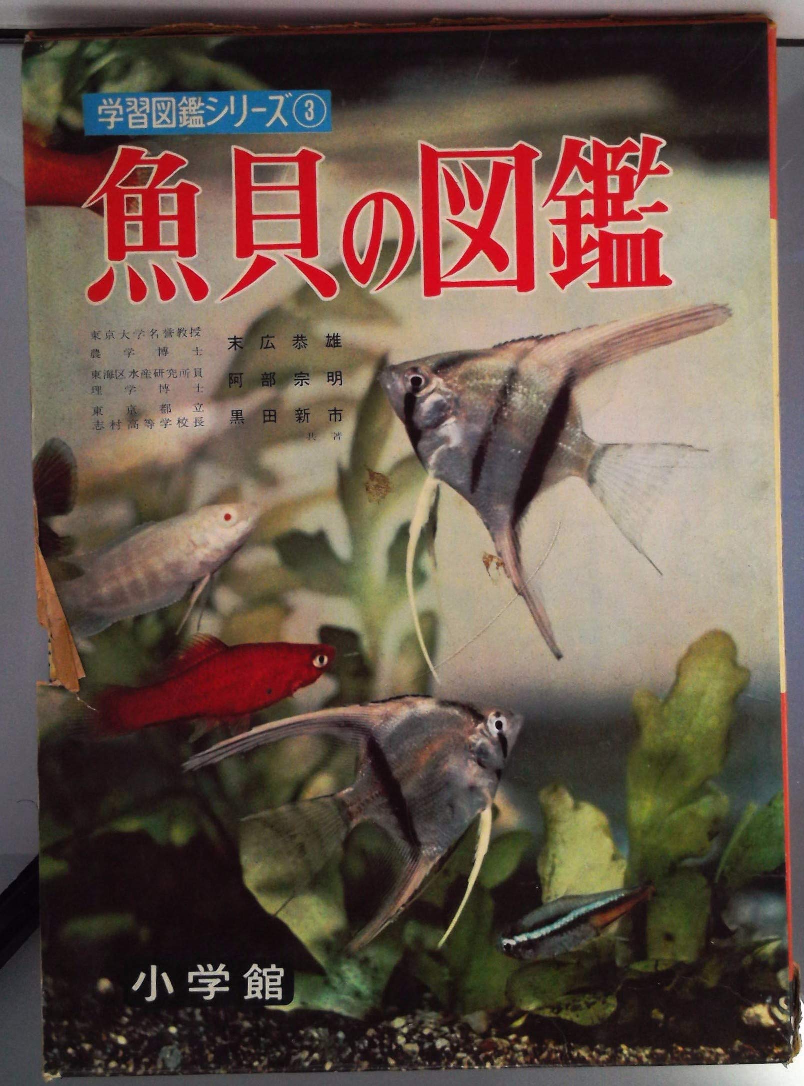 【極美品！】Cichliden-Lekikon 3 アピスト図鑑 洋書 81DFcFfqeZL.jpg