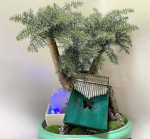 Miniatura 4 de Kalimba - Piano de pulgar Kalimba de 17 teclas, instrucciones de estudio y martillo de afinación, regalo único para niños, adultos principiantes