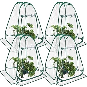 Suzile 4 Pcs Pop up Small Greenhouse for Winter Mini Greenhouse PVC Clear Easy to Install Portable Flowerpot