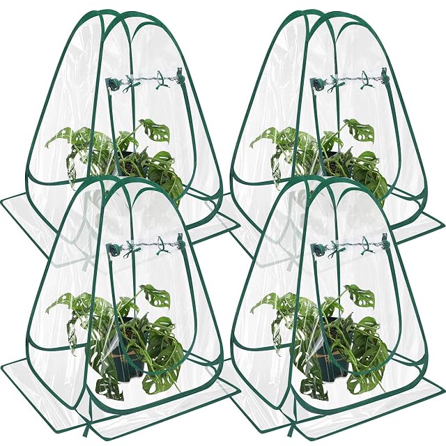 Suzile 4 Pcs Pop up Small Greenhouse for Winter Mini Greenhouse PVC Clear Easy to Install Portable Flowerpot