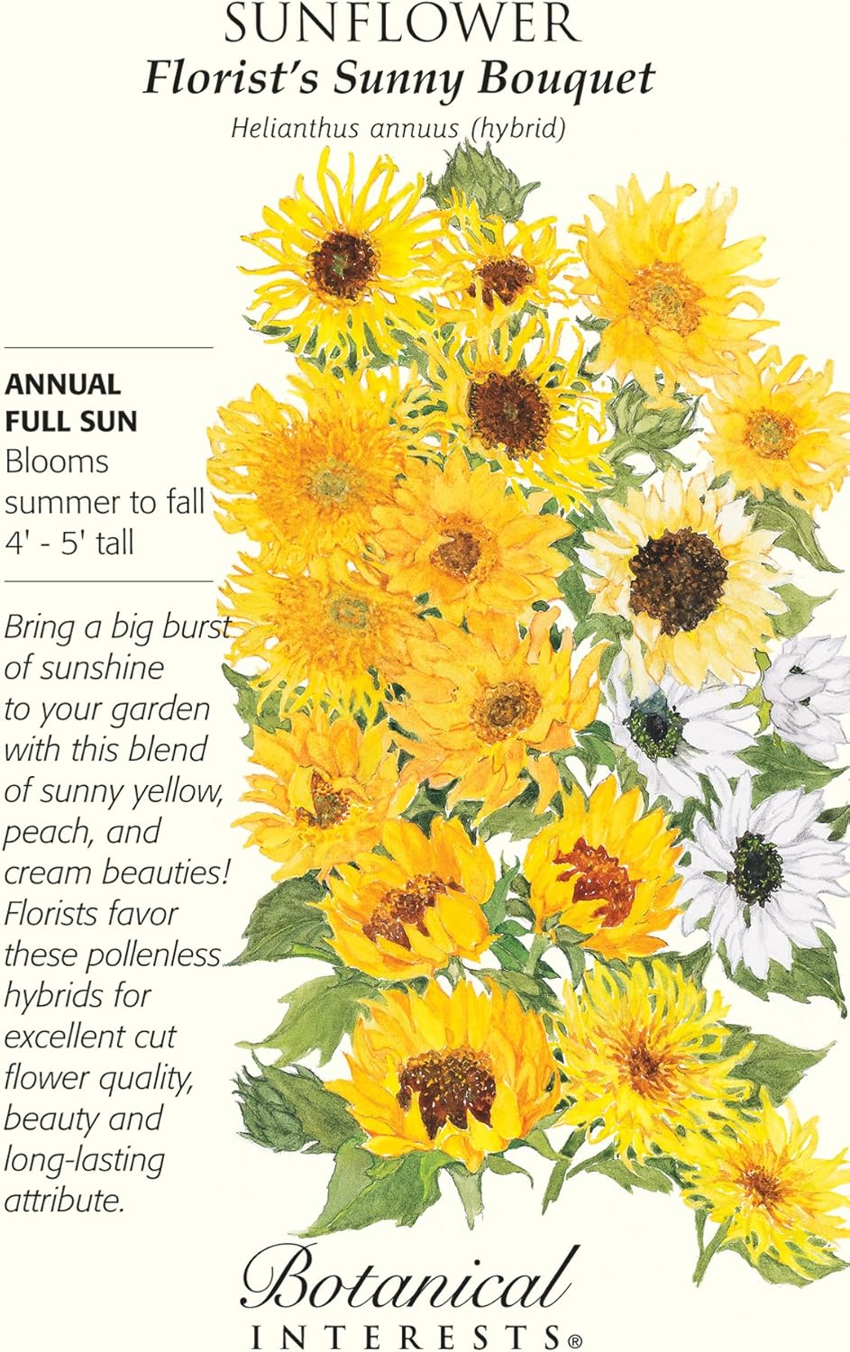 Sunflower Florist's Favorite Yellow Seed Flowering