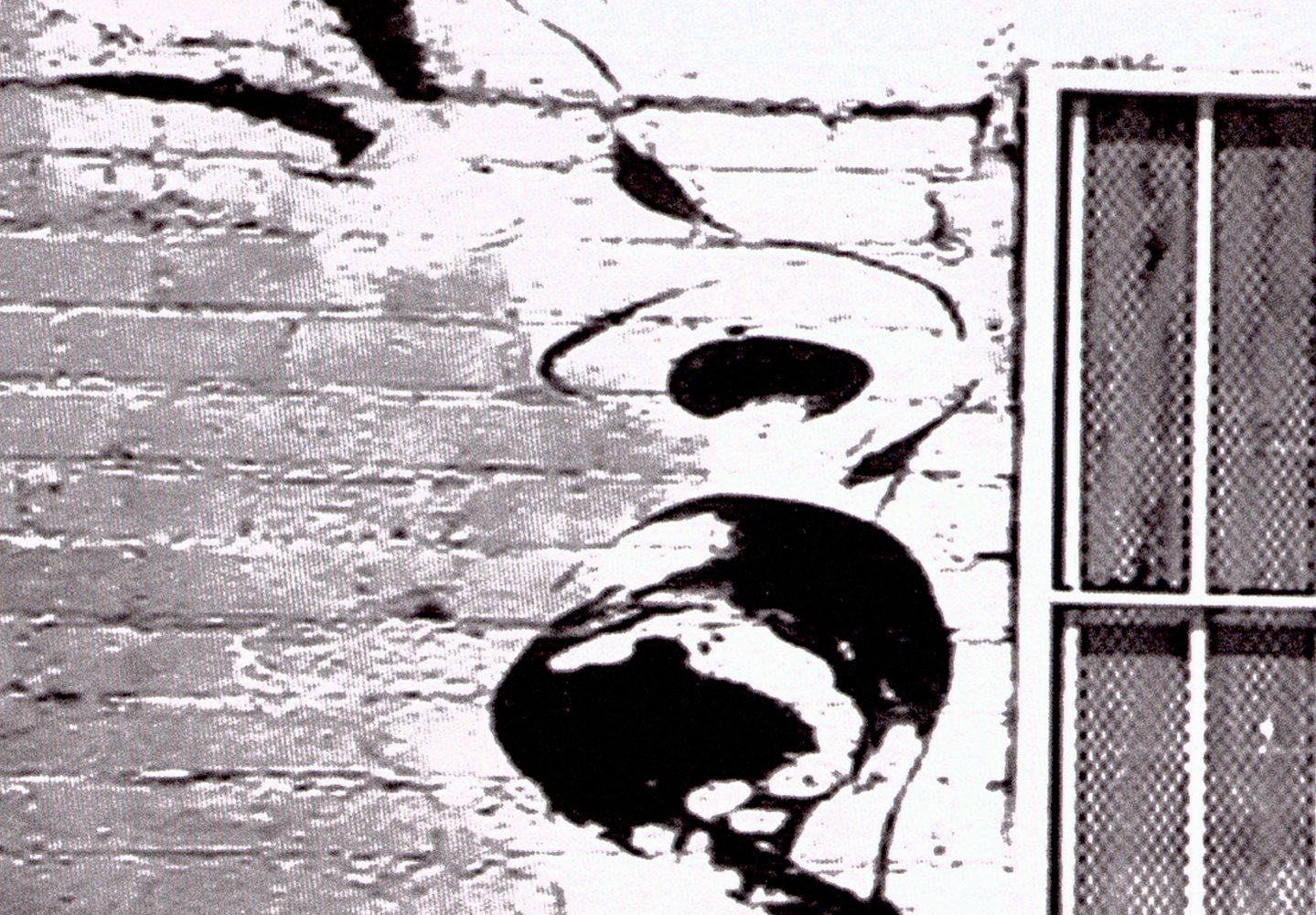murando - Panneau Acoustique Mural, Tableau Décoration Artistique 150x60 cm