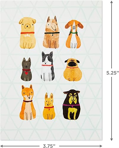 Miniatura 6 de Hallmark Surtido de tarjetas en blanco, perros y gatos (36 tarjetas de notas surtidas con sobres)
