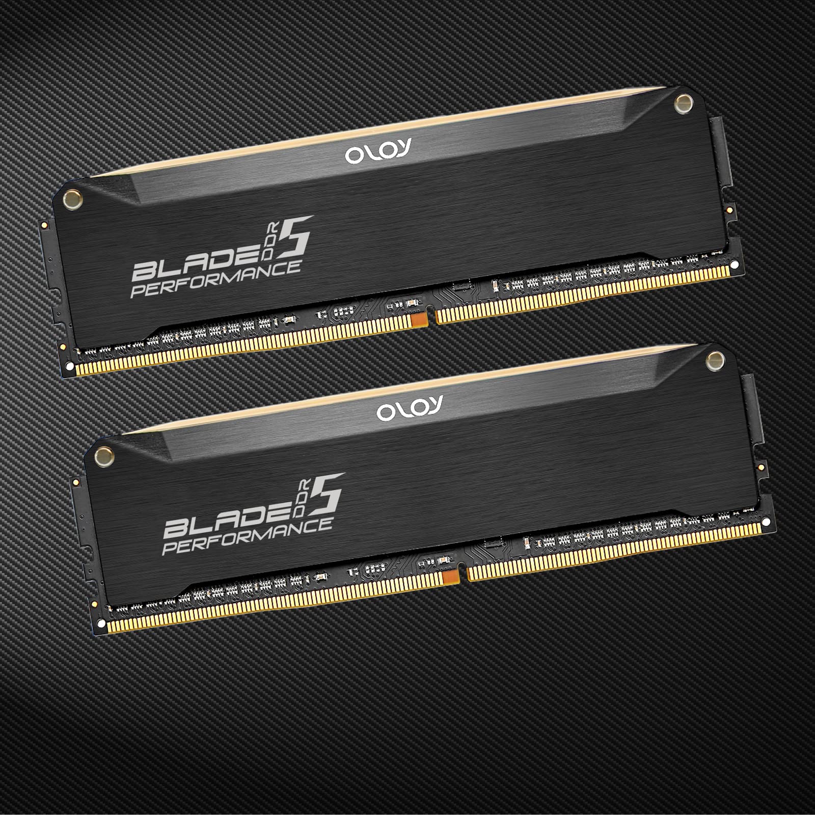 Amazon.co.jp: OLOy DDR5 RAM 32GB (2x16GB) ブラック ヘアライン