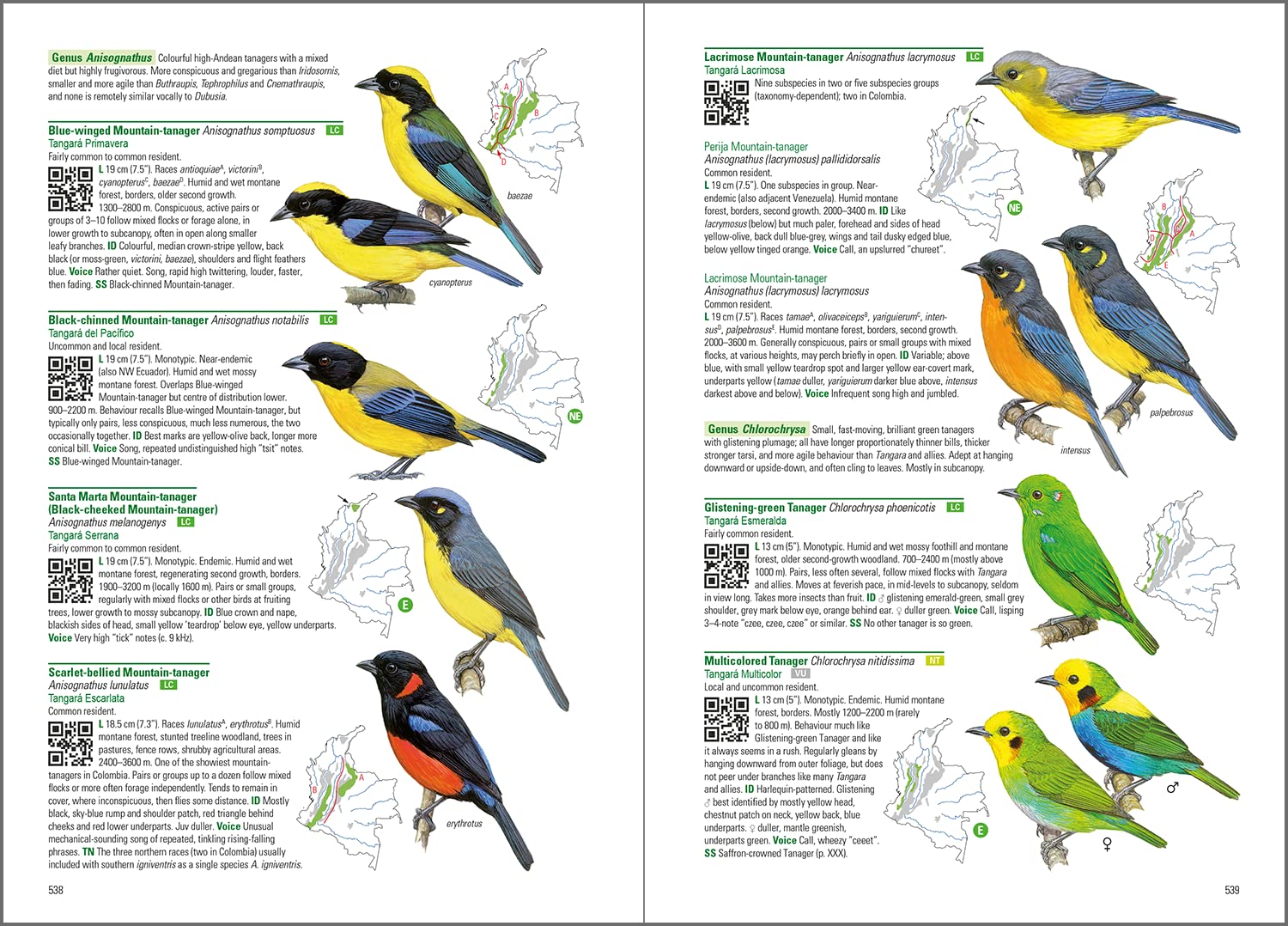 Birds of Colombia