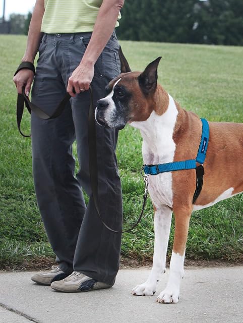 Foto 2 de 8 de PetSafe® Deluxe Easy Walk® - Arnés para Perro, sin tirones, Ideal para Caminar y Entrenar, Acolchado cómodo…