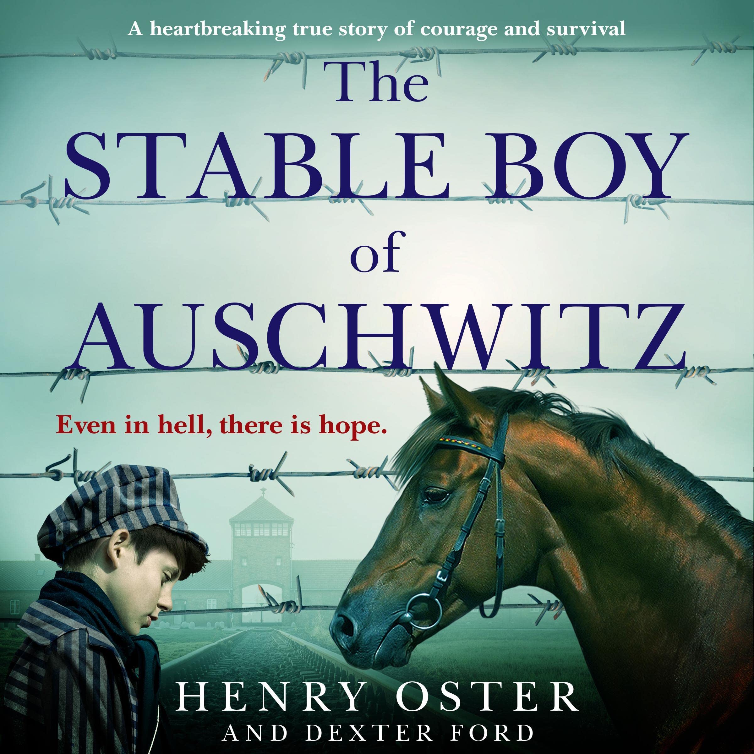 Cover art for The Stable Boy of Auschwitz