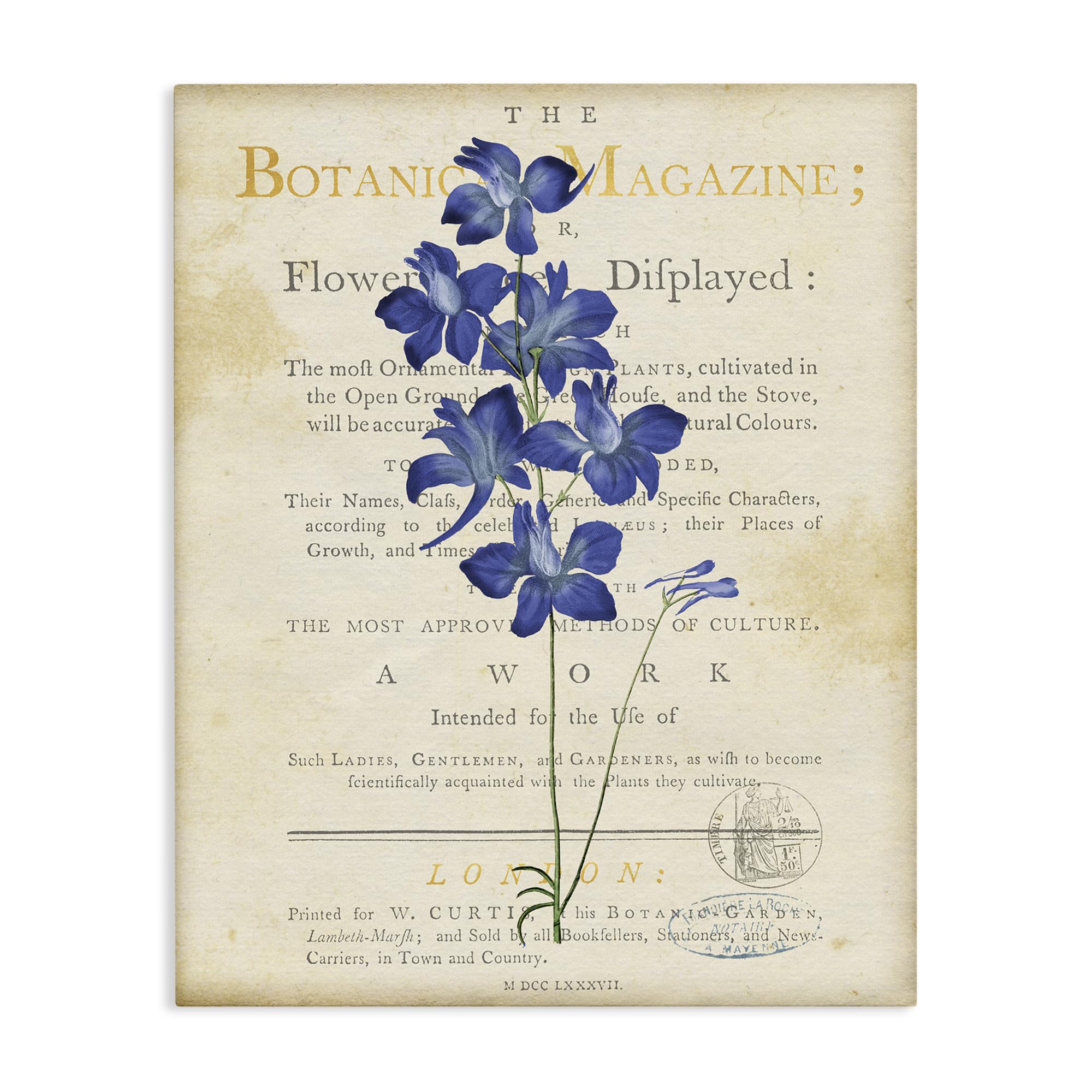 'Natural Botanic Garden Flower'| Canvas Art