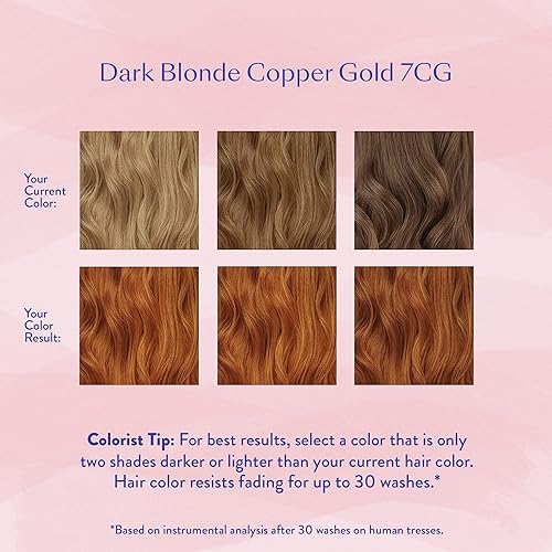 Miniatura 4 de eSalon - Kit Completo de Colorante y Tinte Permanente para el Cabello - Cobre Oro Oscuro - Kit de Colorista Personal para Hasta 100% Cobertura
