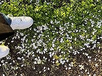 Review Image by 🥰🥰🥰🥰🥰 🥰🥰🥰🥰🥰