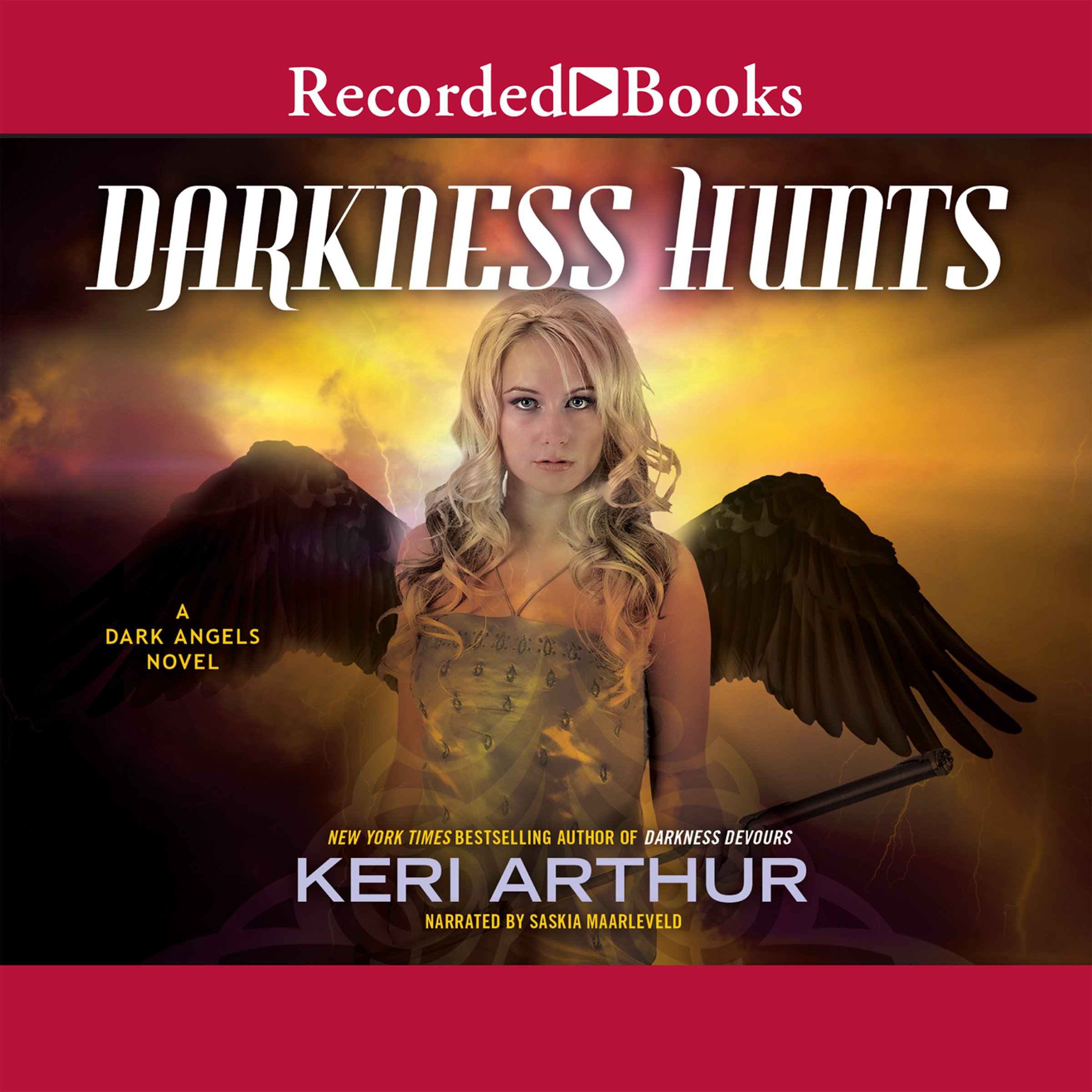 Cover art for Darkness Hunts