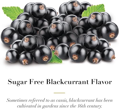 Miniatura 3 de Dr. Doolittle's Pastillas de frutas suaves sin azúcar para voz y garganta, sabor a grosella negra, lata de 2.12 onzas, paquete de aproximadamente 25