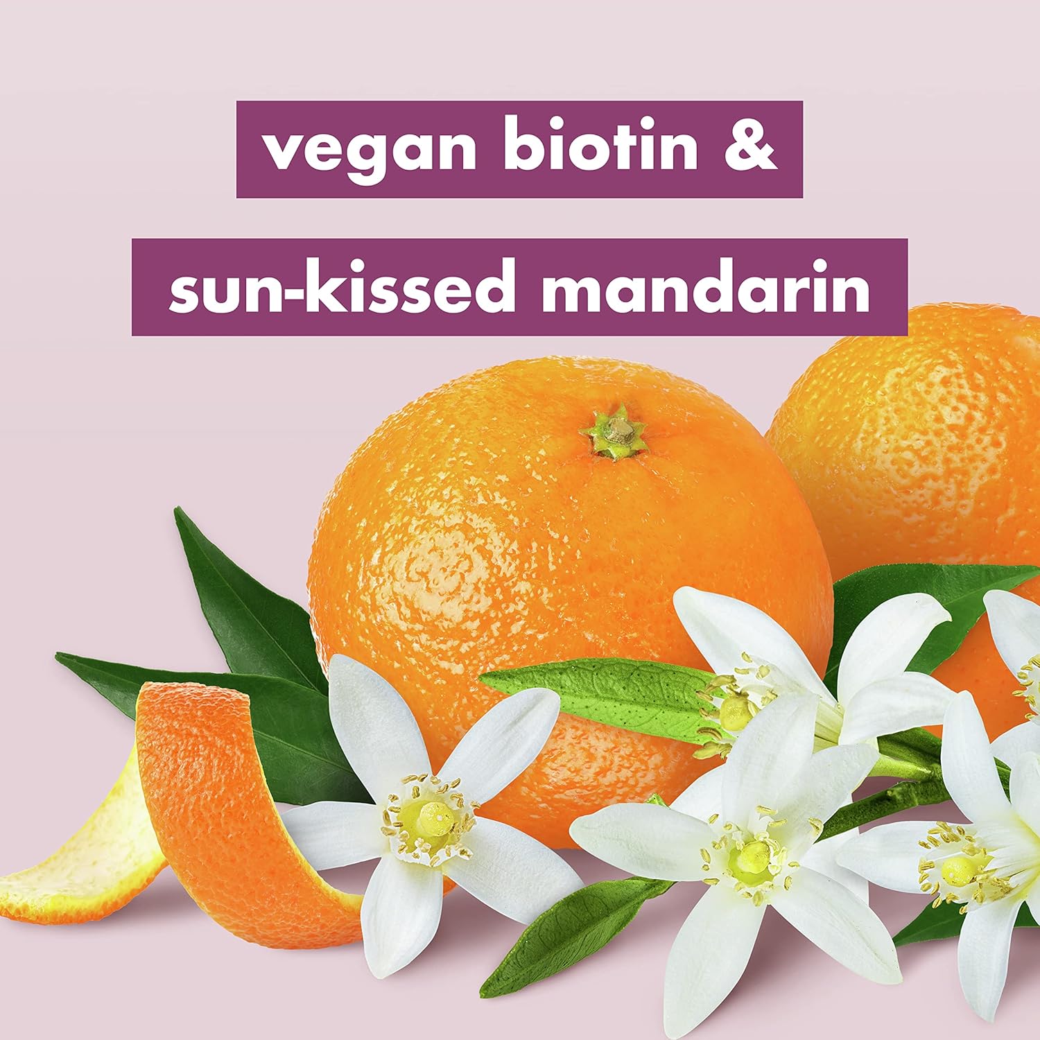 Love Beauty And Planet Silcone-Free Deep Cleanse, Hydrate, Strengthen, Volumize & Shine Vegan Biotin & Sun-Kissed Mandarin 5-in-1 Multi-Benefit Nourishing Conditioner for Hair, 32 Oz : Beauty & Personal Care