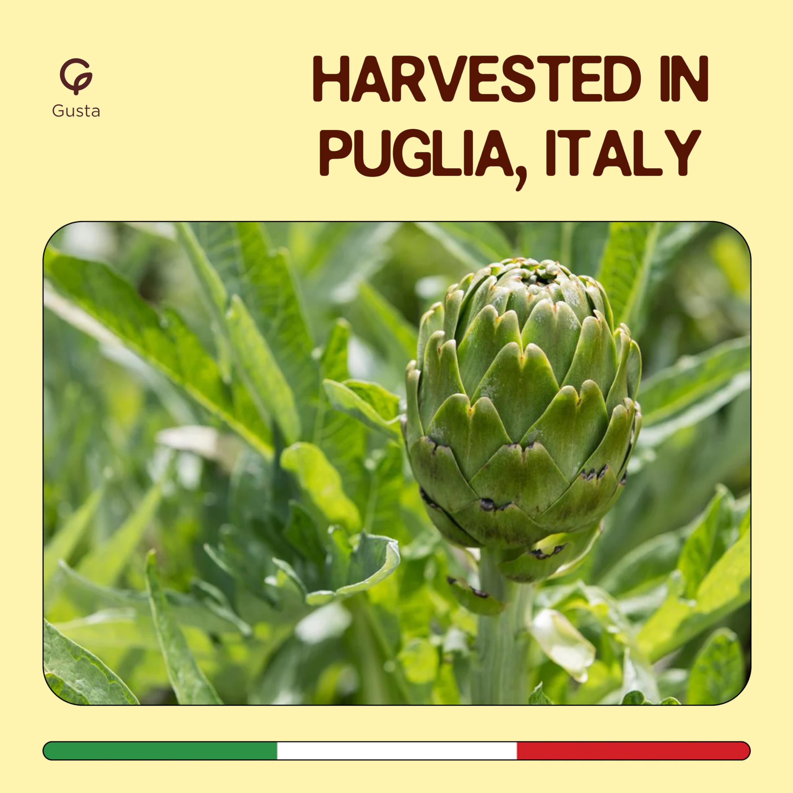 Gusta Artichokes in Olive Oil on a Bed of Spices - Made in Italy - Organic Artichokes Glass Jar with Extra Virgin Olive Oil - Non-GMO, All Natural - Perfect Snack - 9.88oz Glass Jar