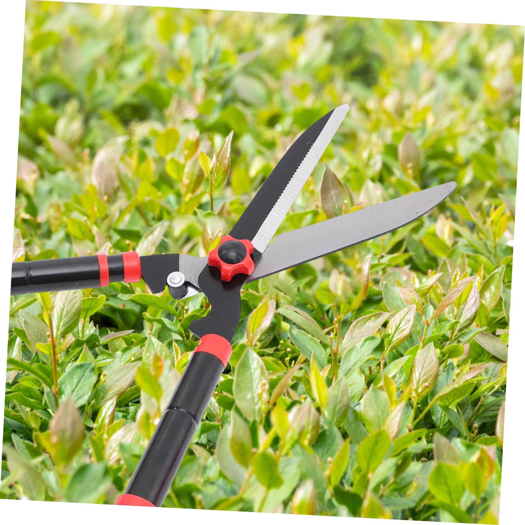 VANZACK Cisailles à haies de jardin manuel des taille-haies ciseaux de jardin cisailles de jardinage cisailles à haies outils de jardinage lourd tondeuse à gazon pelouse