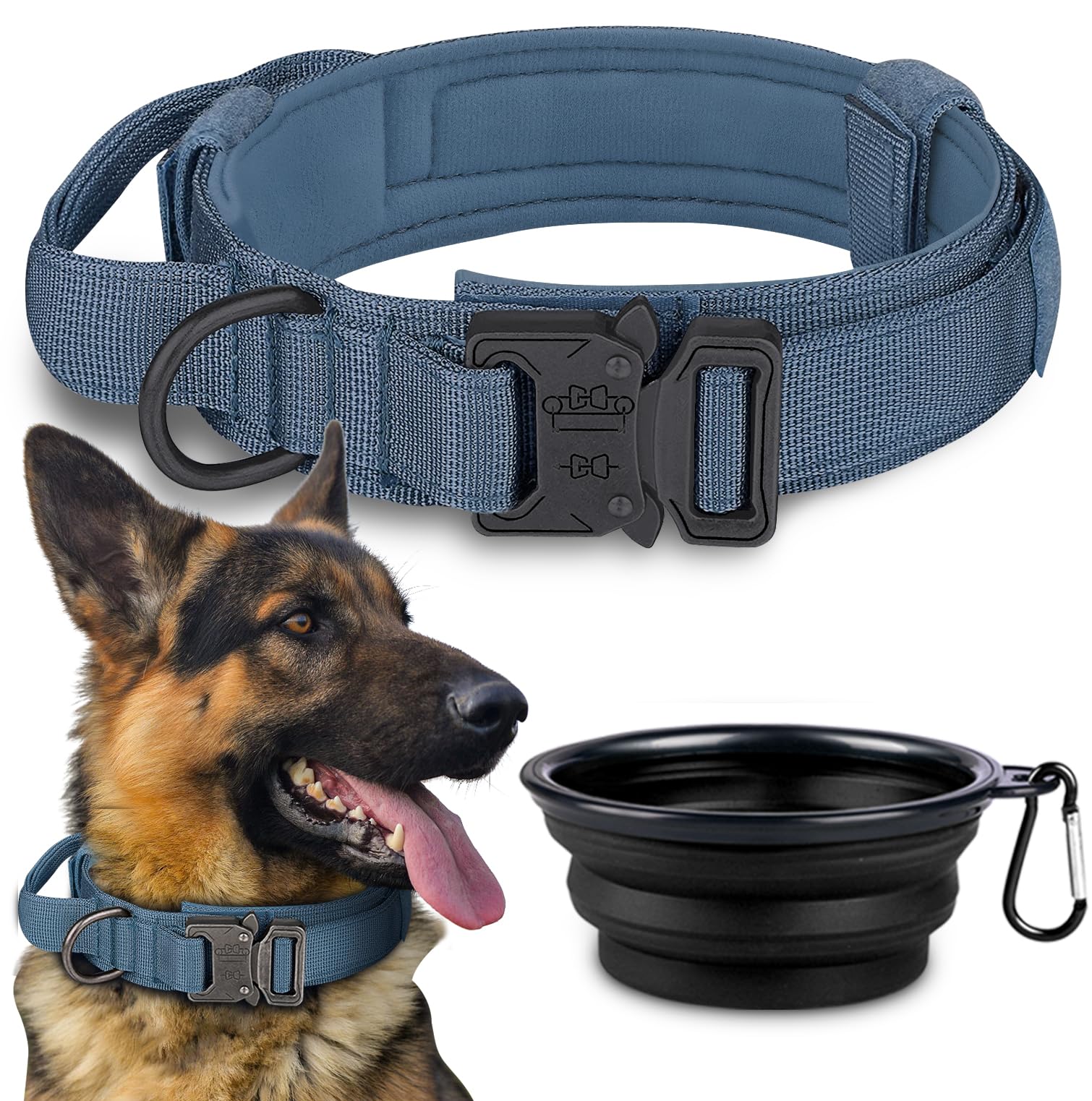 Best Dog Collar for Golden Retriever Top Picks for 2023