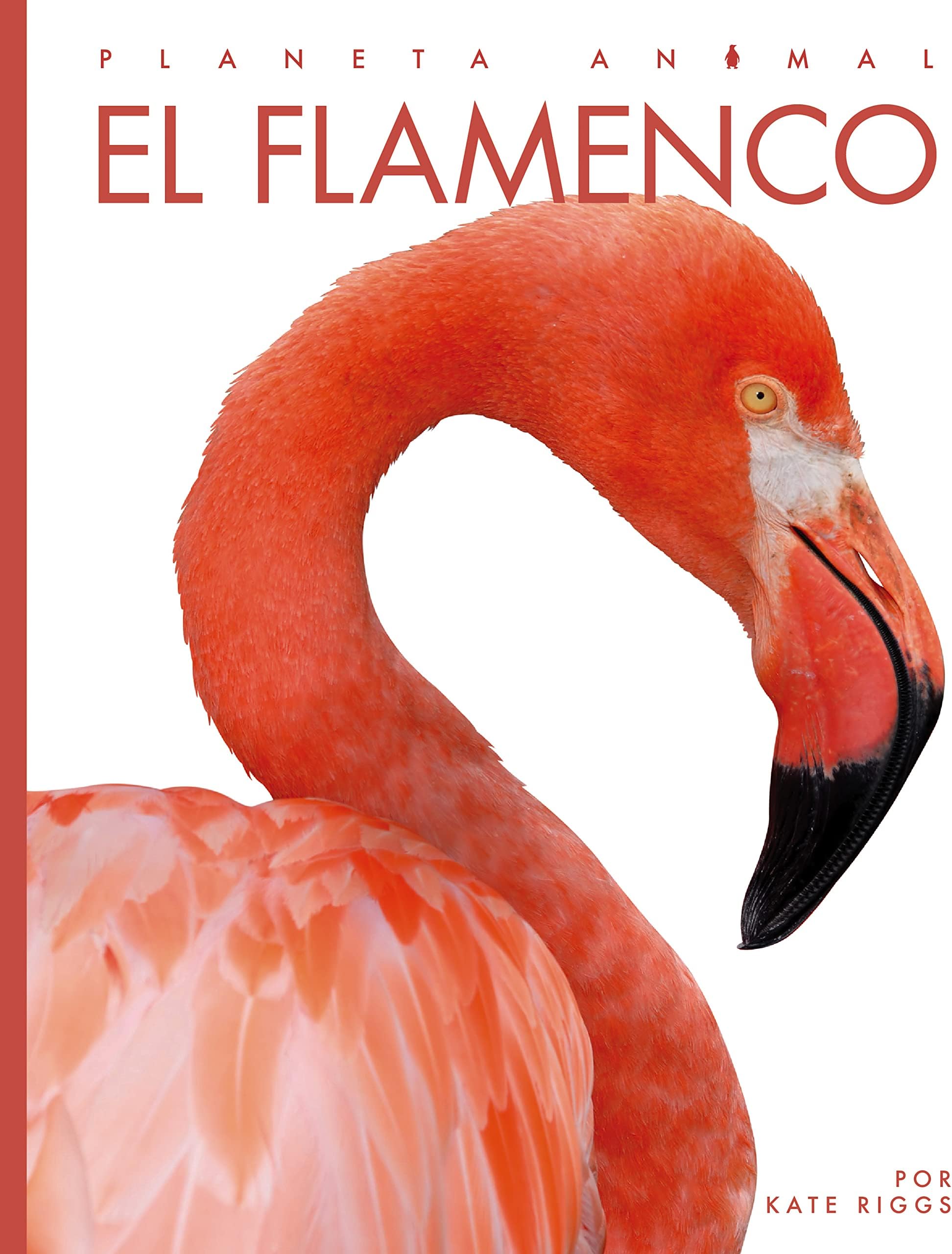 El Flamenco (Planeta Animal)