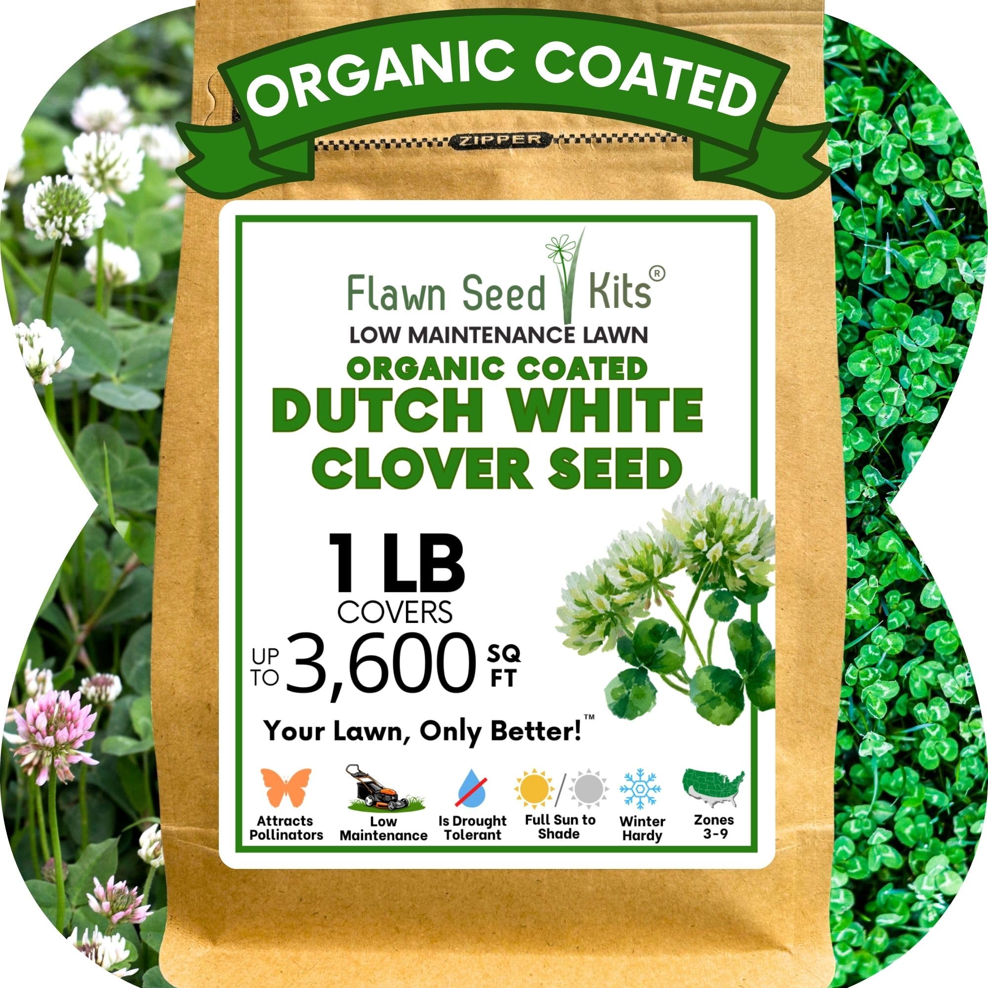 Amazon.com : Flawn Seed Kits White Dutch Clover Seed, 1 Lb