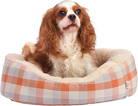FluffyDream Dog Bed, Super Soft Calming Pet Bed with Pillow Edge, Suitable for Dogs Up to 25 lbs, 21 x 17, Orange and White