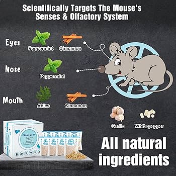 Natural Rodent Repellent: Effective DIY Solutions That Work Fast