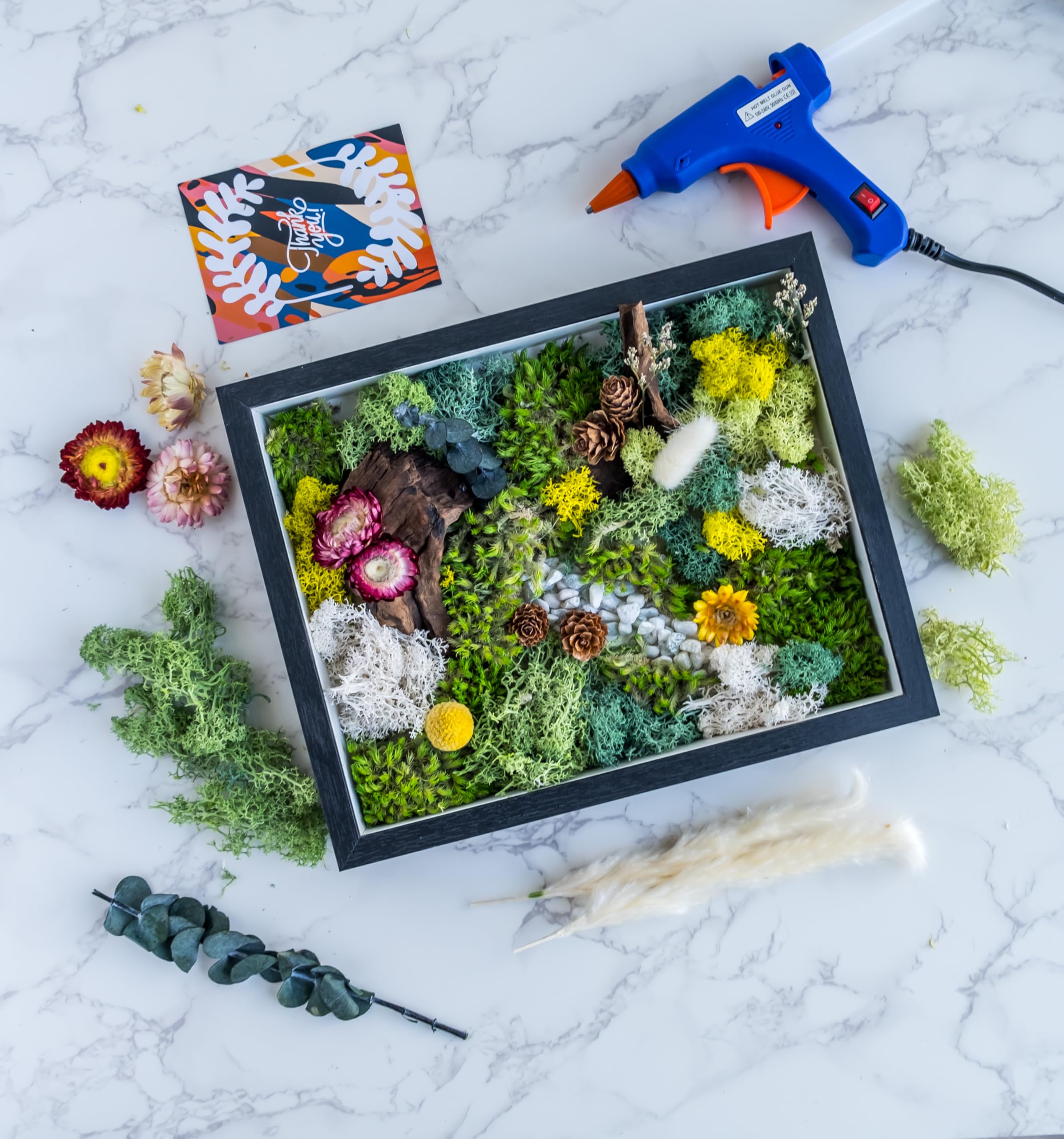 KRAFTSTORIES DIY Moss Wall Art Kit with 2 Black Frames | Preserved