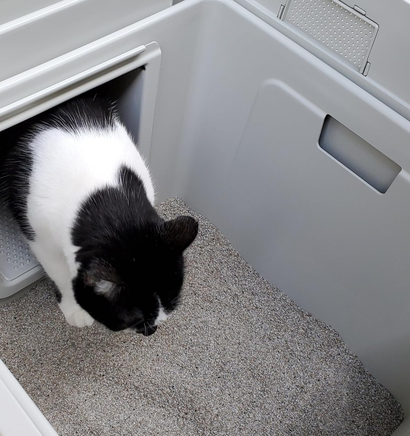 Outdoor Litter Box for Indoor Cats, Wall-Mounted Design, High Walled, Covered, Durable, Waterproof, Vented, Vapor Flap, Removable & Reusable Liner, Lined Portal with Paw Mat