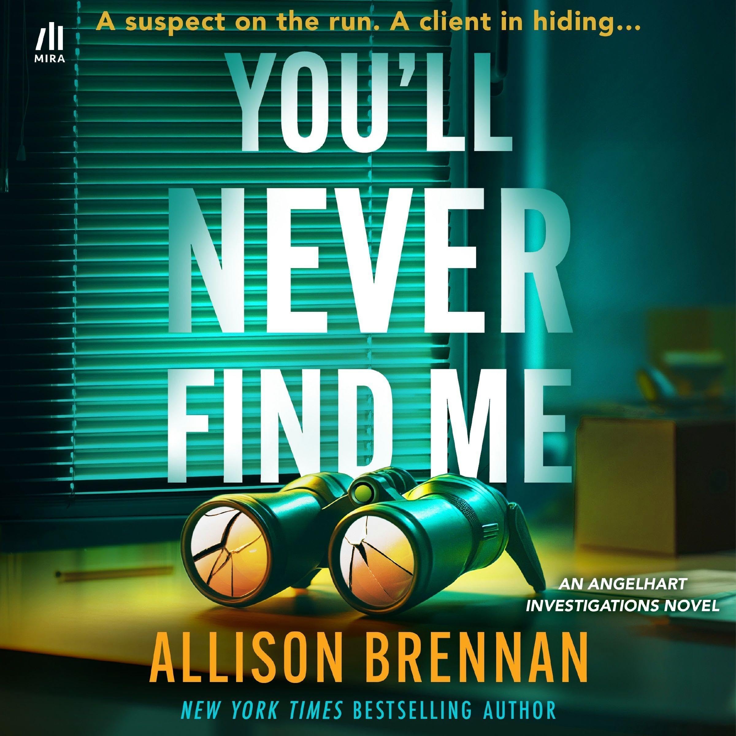 Cover art for You'll Never Find Me