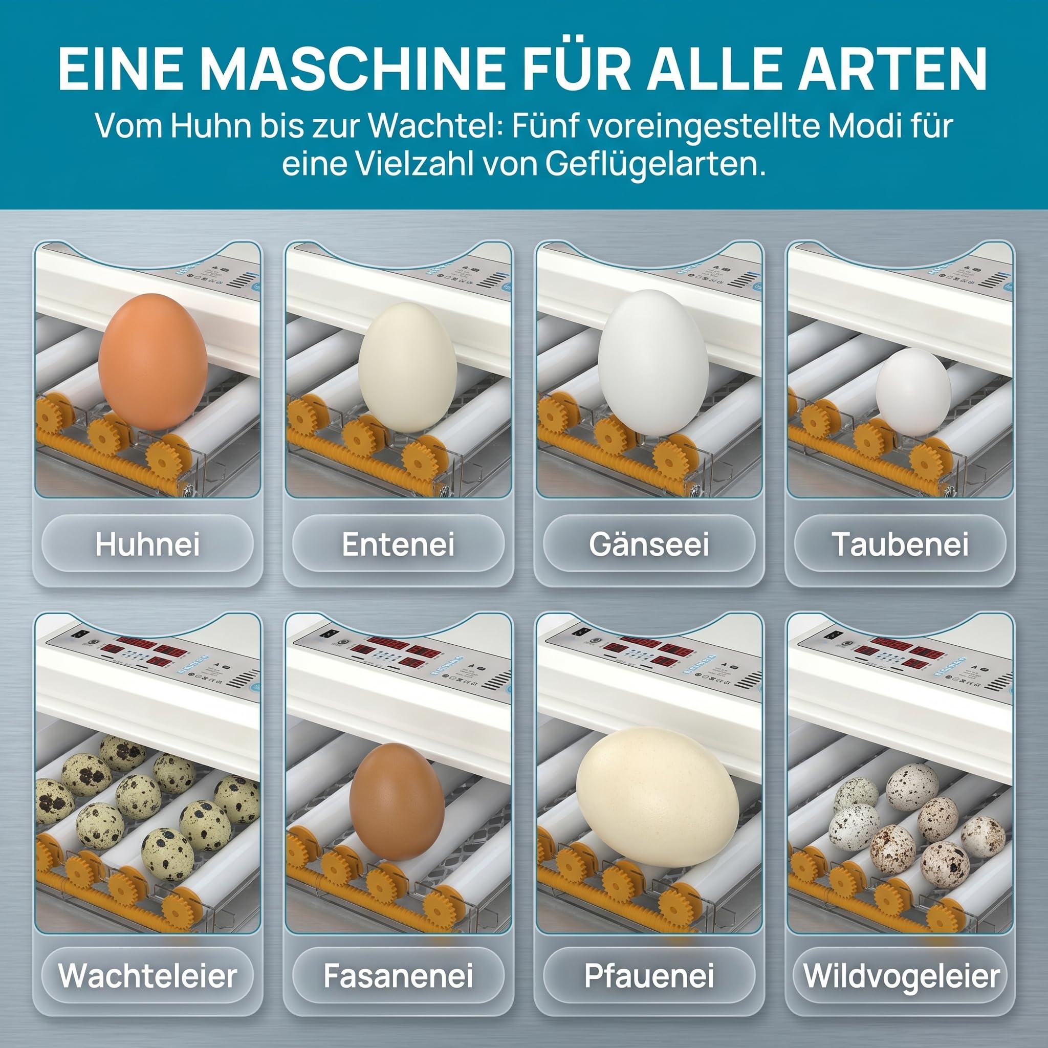 Brutautomat Vollautomatisch,Inkubator Hühner 16-120 Eier mit Automatischem Eierwenden und Automatischer Wasserzugabe,Brutkasten Hühner mit Vier Automatischen Inkubationsmodi für Huhn,Ente,Gans (36)