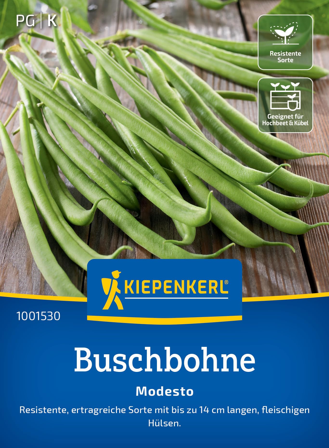 Kiepenkerl Buschbohnensamen Modesto