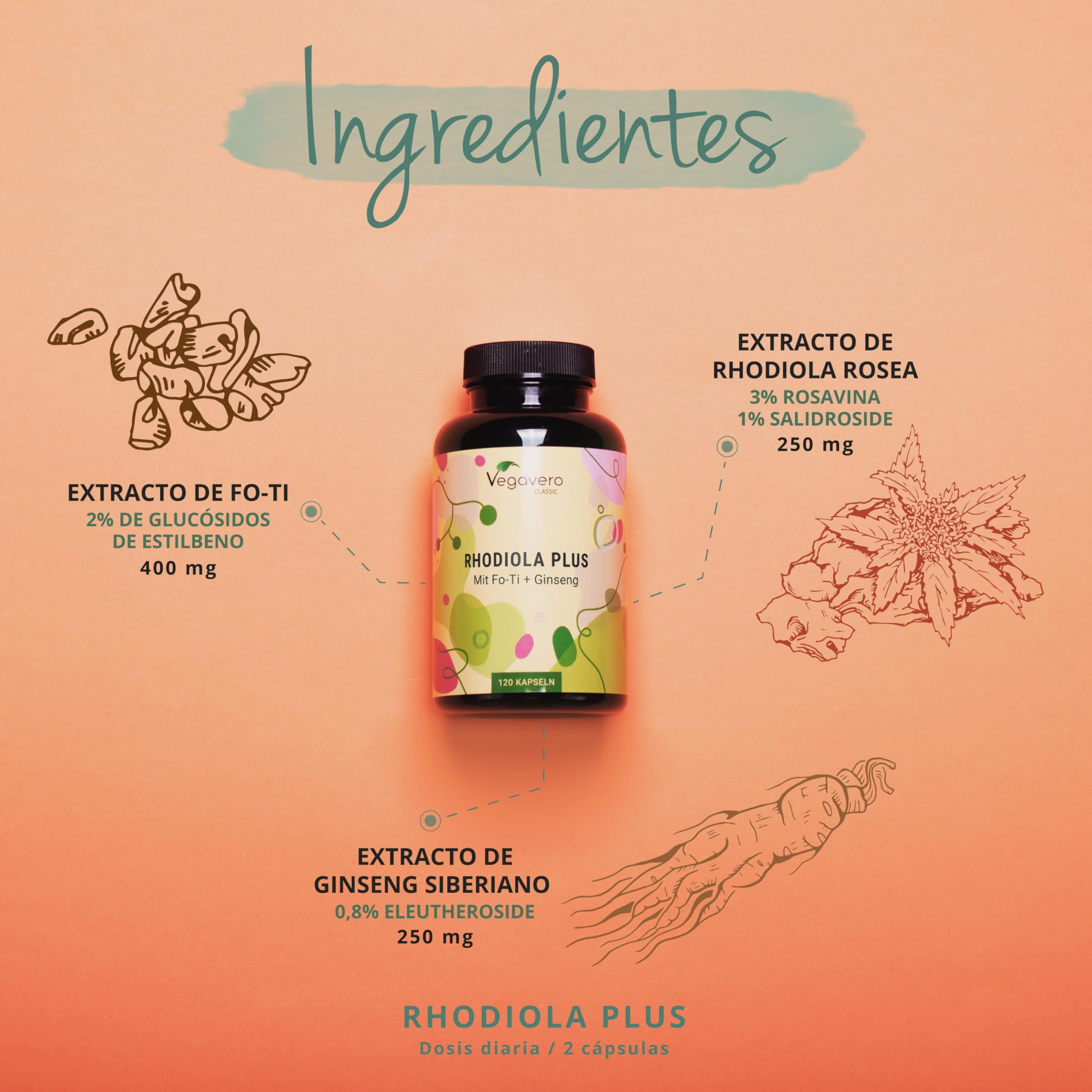 Rhodiola Rosea PLUS Vegavero® | Con Ginseng Siberiano + Fo Ti (He Shou Wu) | Nootrópicos, Memoria, Concentración | Sin Aditivos | 120 Cápsulas | Vegano