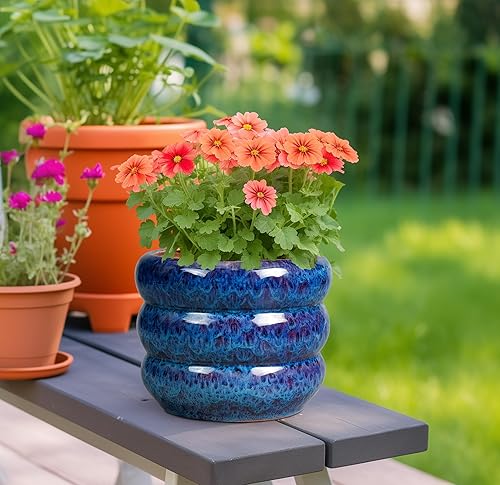 Miniatura 2 de SQOWL Maceta de cerámica Maceta de 8 pulgadas para interiores con orificio de drenaje, maceta redonda para plantas y exteriores, maceta decorativa