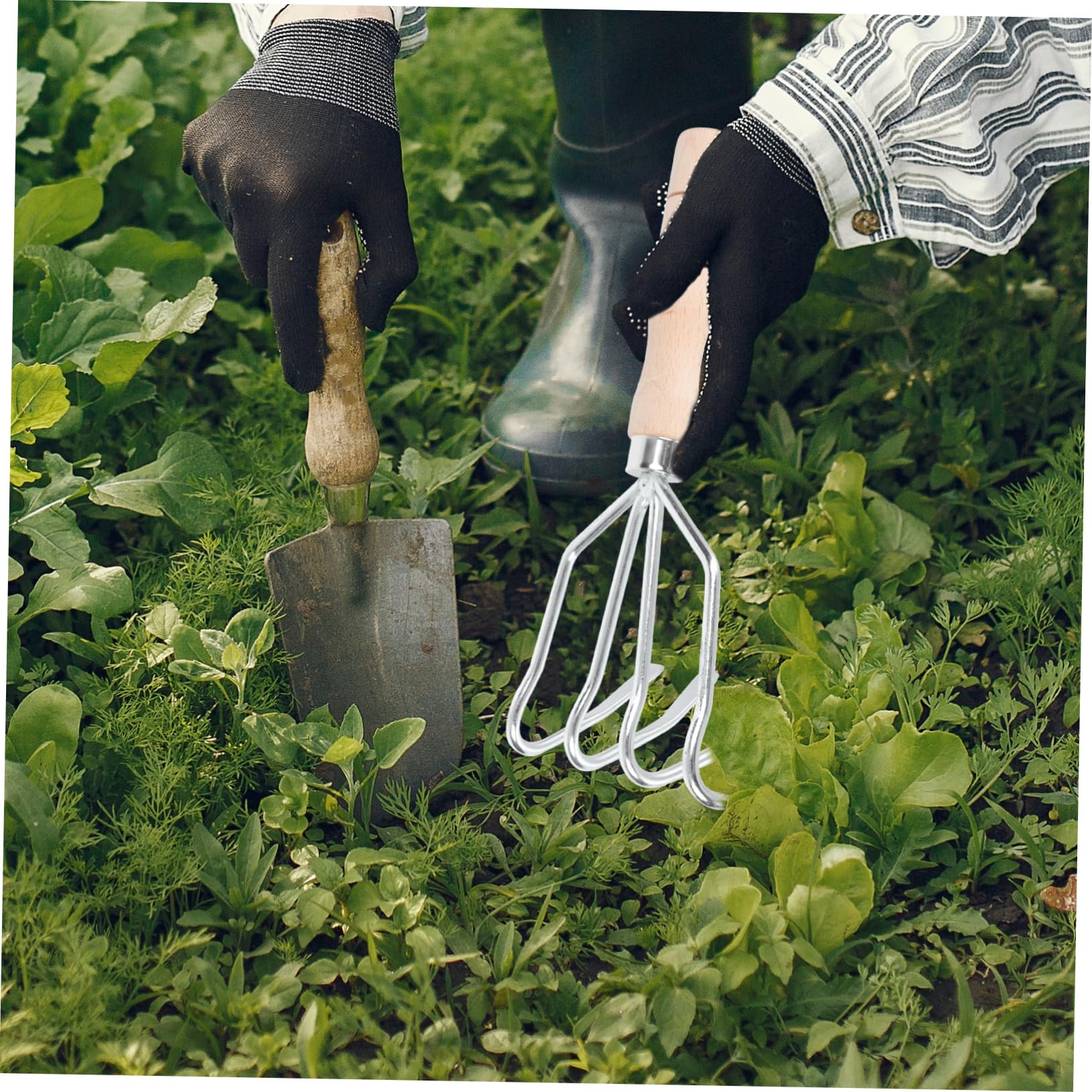 Toddmomy 2pezzi Rastrello Da Giardinaggio Denti Strumento Manuale Per Lavorare Terreno Per Allentare Suolo e Scavare Tuberi Manico Ergonomico Per Maggiore Comfort e Controllo