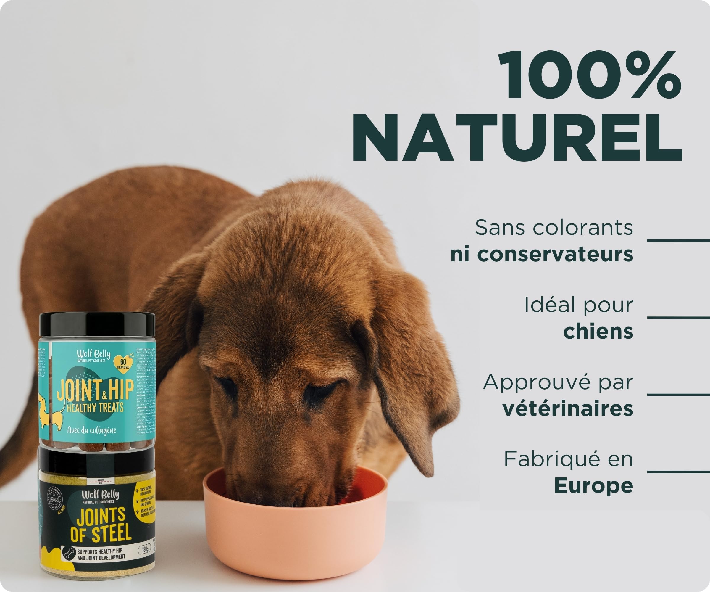 Wolf Belly - Pack Chondroprotecteur pour Chiens | Complément Articulaire en Poudre + Friandises à l’Acide Hyaluronique | Articulations Fortes | Anti-inflammatoire - Fabriqué en Europe