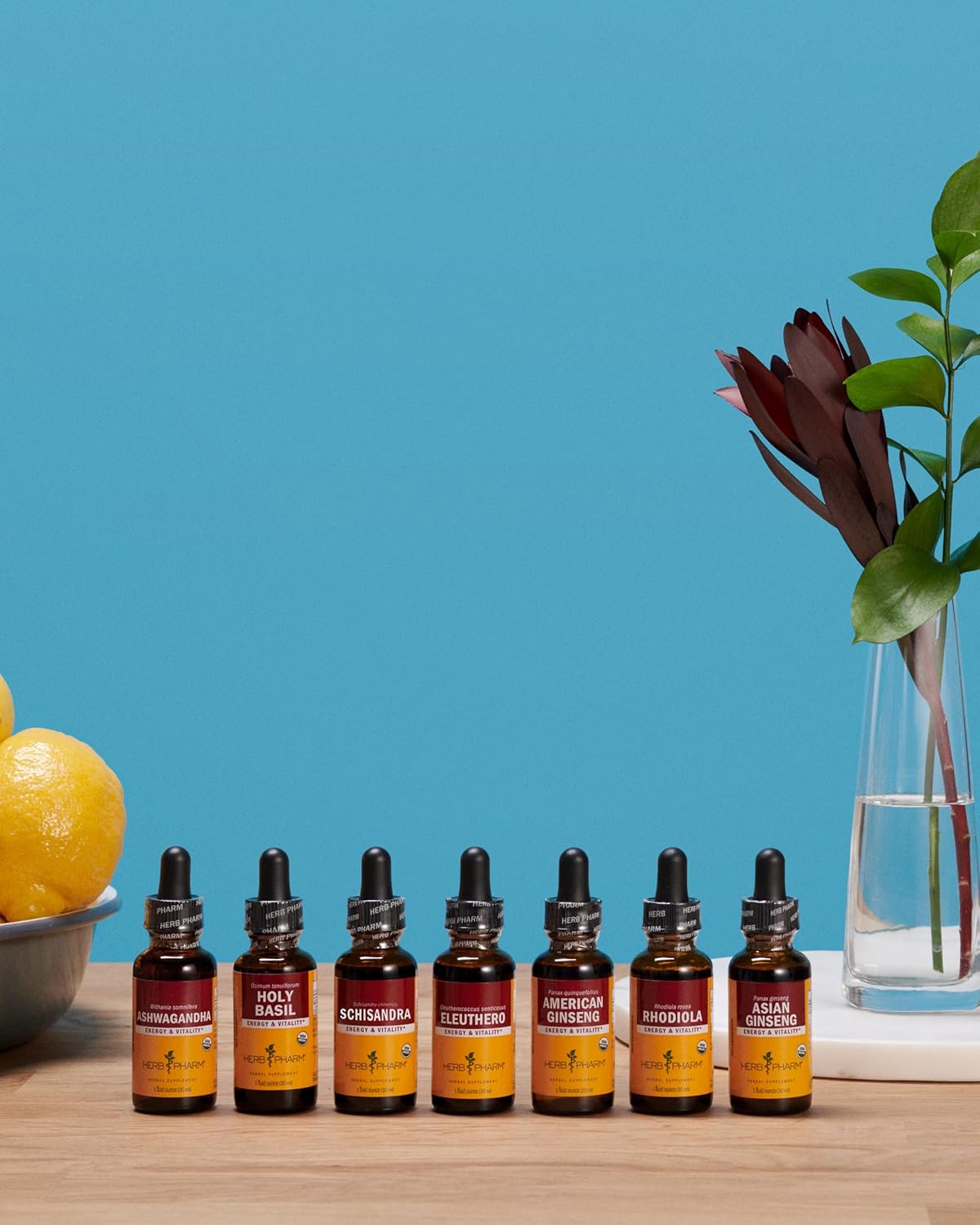 Herb Pharm Asian (Panax) Ginseng Liquid Extract for Energy and Stamina Support - 1 Ounce - Image 16