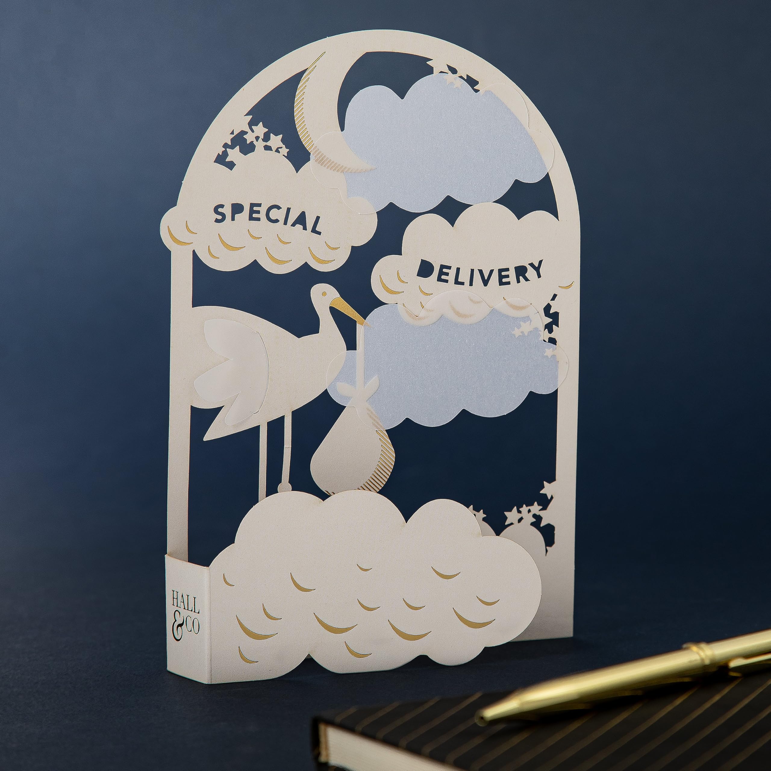 Hallmark Men's Gold Hall & Co Premium 3D 'Special Delivery' New Baby Card - Paper Fables