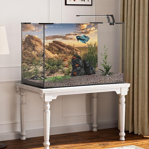 180 x 61 cm Reptile Habitat Background Blue Sky Oasis Cactus Sun and Desert Terrarium Background Vinyl Background - 5