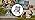 81DGyllcdeL._SX35_SY46.jpg