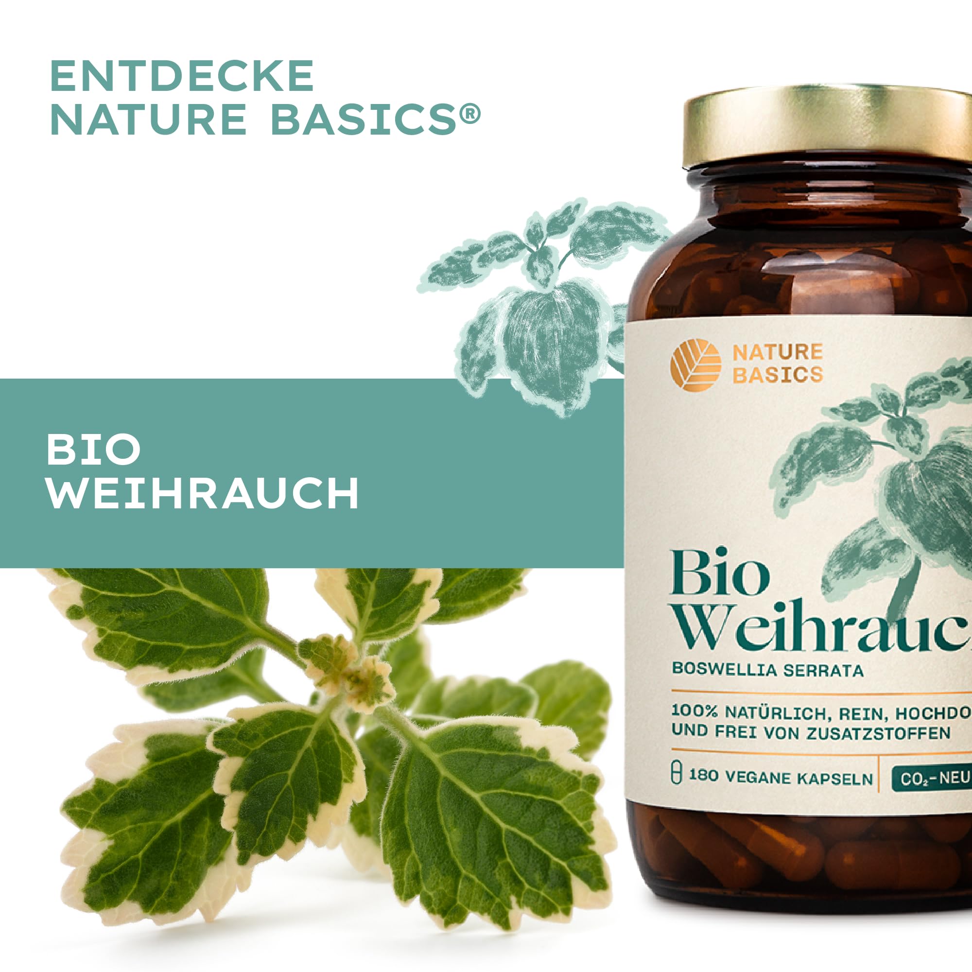 Bio-Weihrauchkapseln hochdosiert & zertifiziert nachhaltig im Glas / 65% Boswelliasäuren / 180 Kapseln mit je 500mg Bio-Boswellia Serrata/Ayurveda/reines & laborgeprüftes Bio-Weihrauch Extrakt
