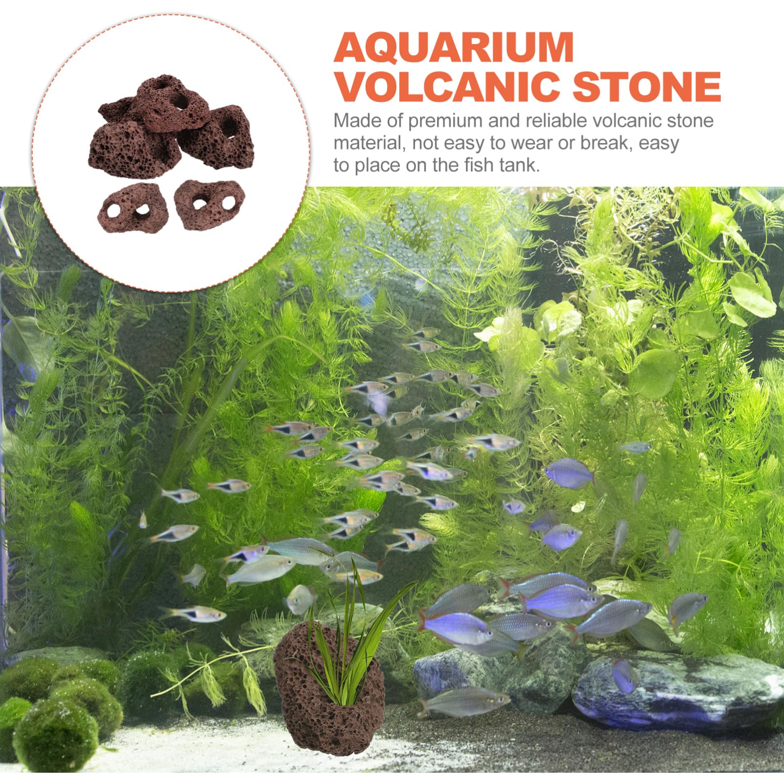 DOITOOL Lot de 6 pierres de lave volcaniques pour aquarium, petites pierres ponces volcaniques marron foncé, pierres d'aquarium pour décoration d'aquarium, 10 x 7 x 4 cm