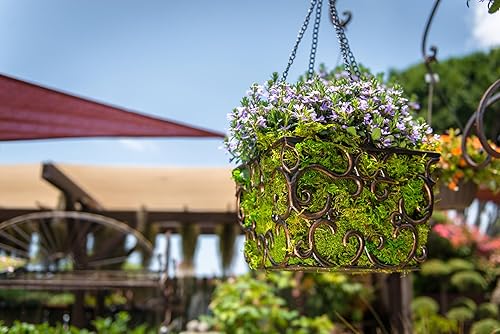 Miniatura 4 de SuperMoss musgo de montaña conservado, Verde fresco