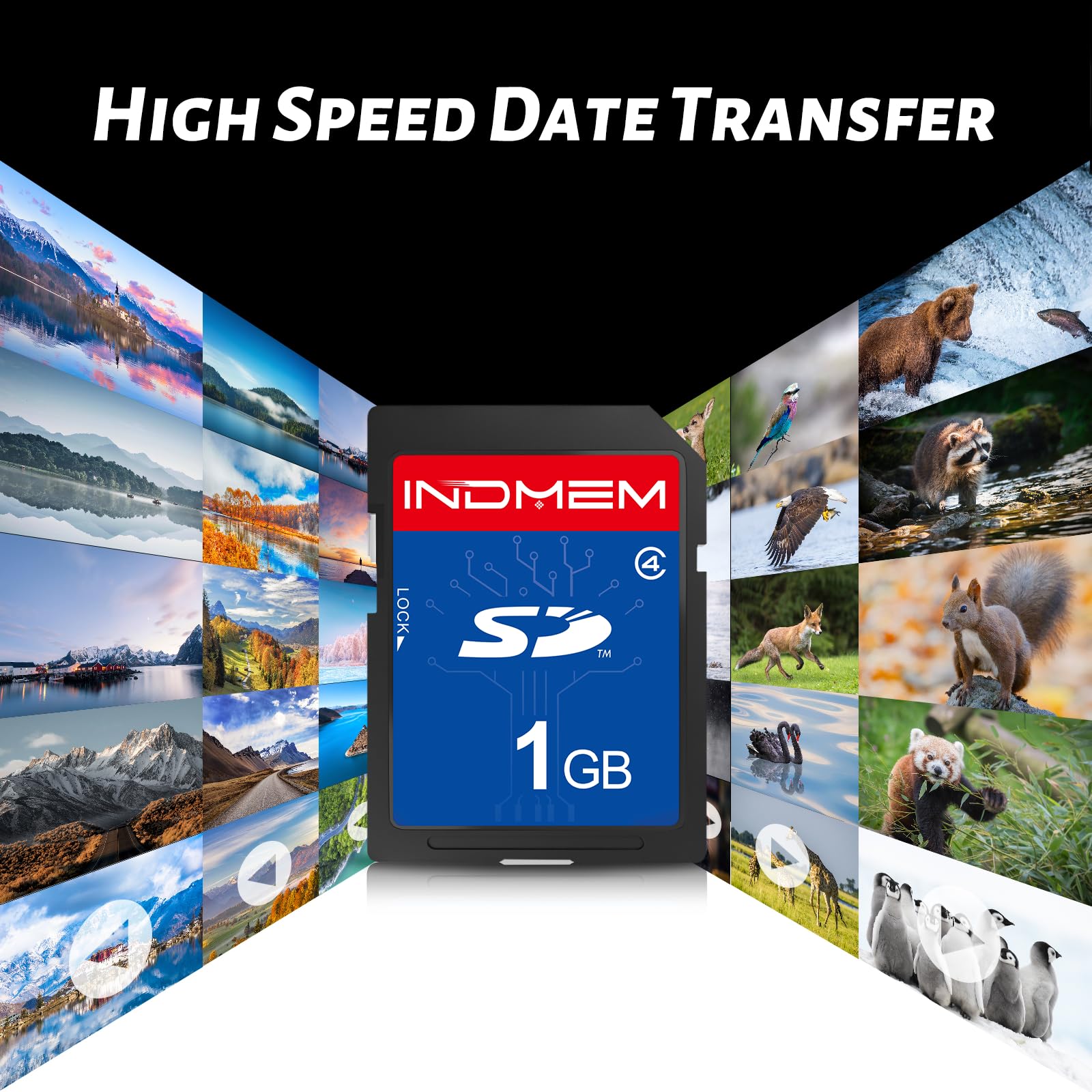 INDMEM Scheda SD da 1 GB, 6 confezioni Classe 4 1GB Scheda di Memoria Flash MLC Standard Secure Digital Card Camera Card